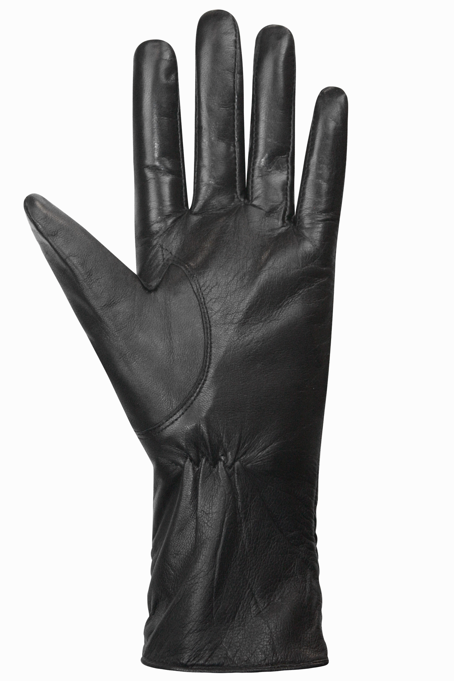 3.5 Button Gloves - Women Shop Todays Picks