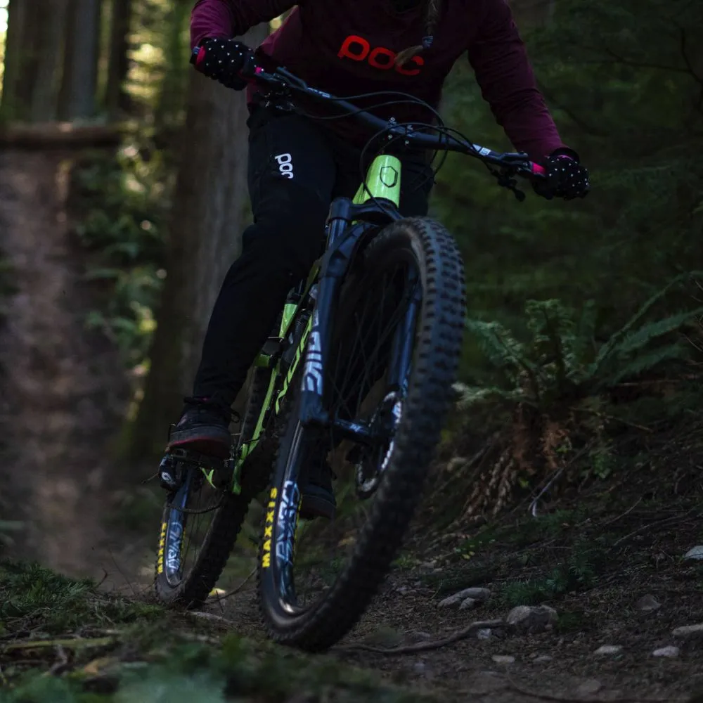 AM30 - 29" WHEELSET