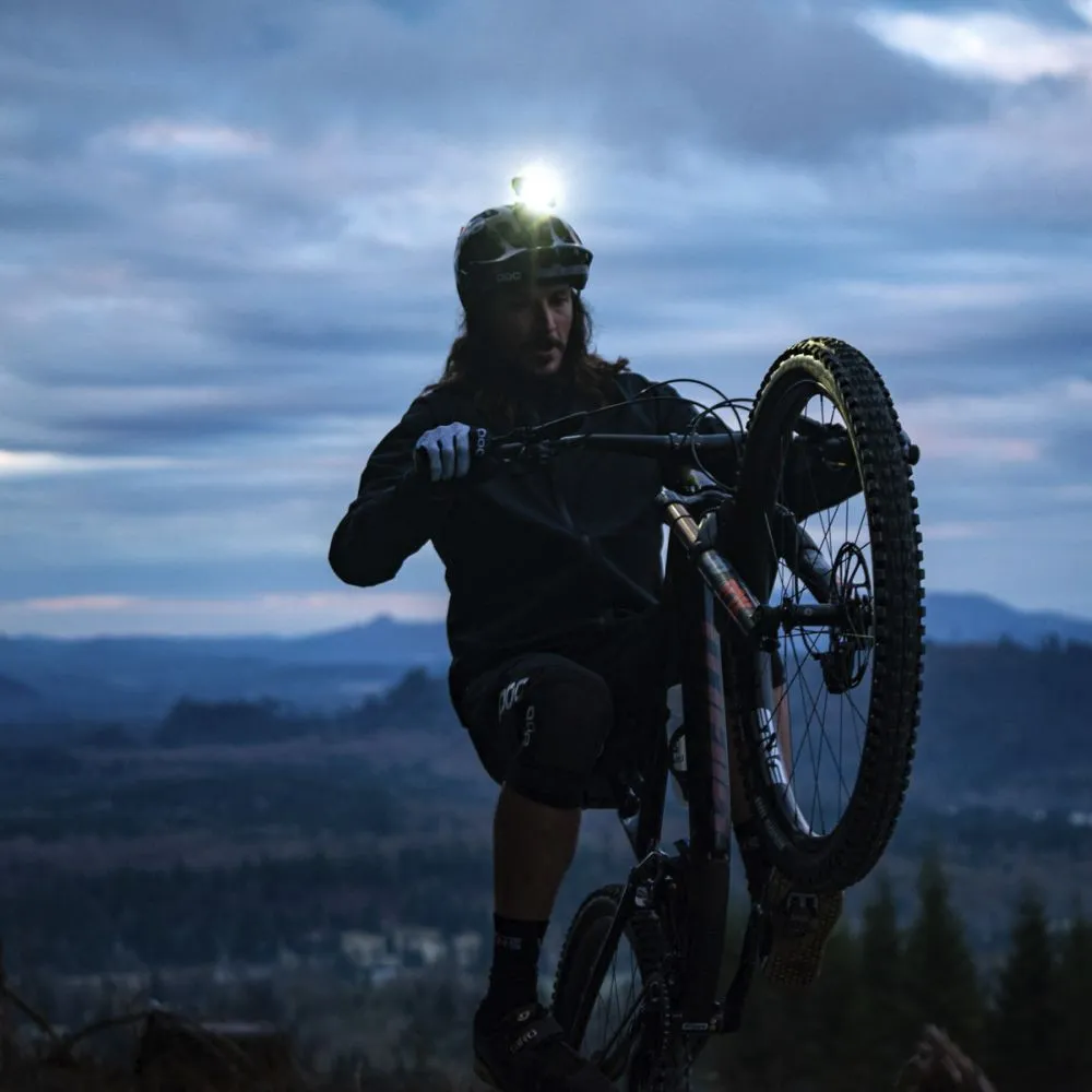 AM30 - 29" WHEELSET
