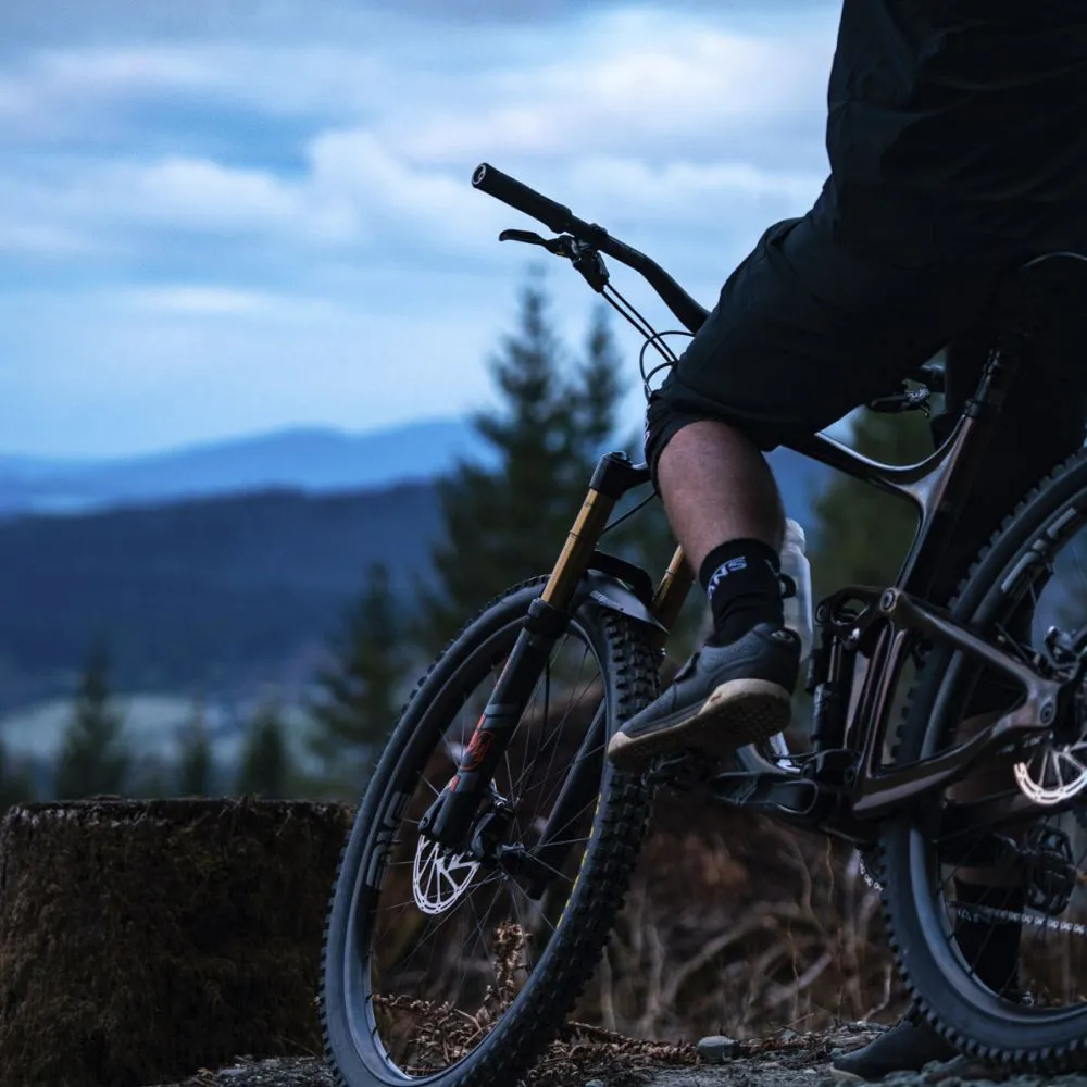 AM30 - 29" WHEELSET
