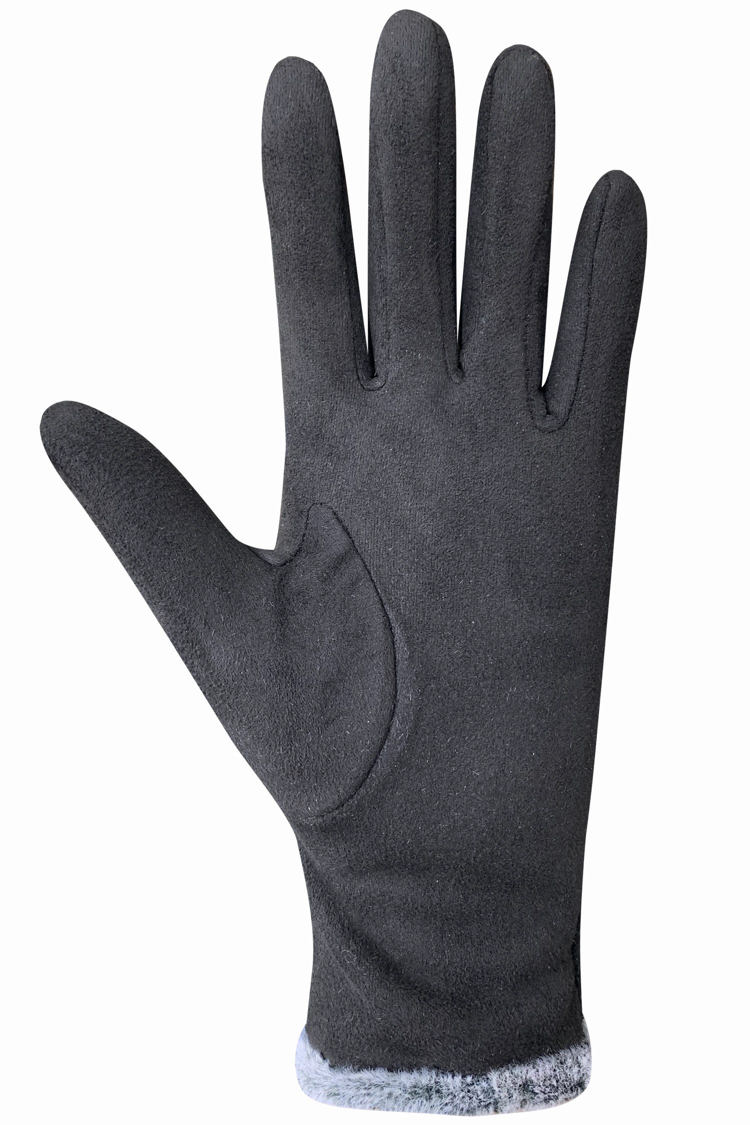 MustHave Items Dont Miss This Offer Aria Gloves - Women