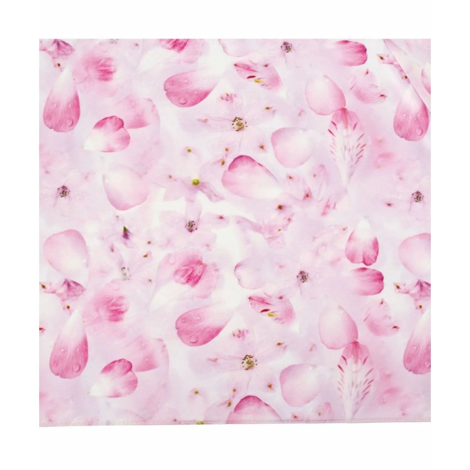 Wpc X Plantica Uv Protection Upf 50  Umbrella 47Cm (Sa) MustShop Sale Online Exclusive Offer