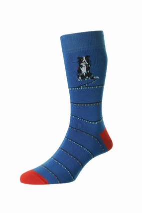 Todays Hot Pick Mega Discount Today Hj Hall Dog With Christmas Lights Cotton Rich Socks