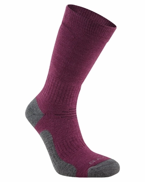 Price Slash Today Sale Ending Soon Craghoppers Trek Socks