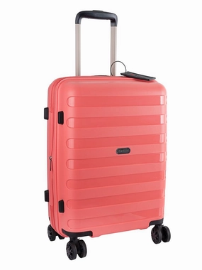 Grab Save Today Cellini Sonic Cabin Trolley Spinner | Coral