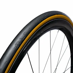 Enve SES 700x31c clincher - Para