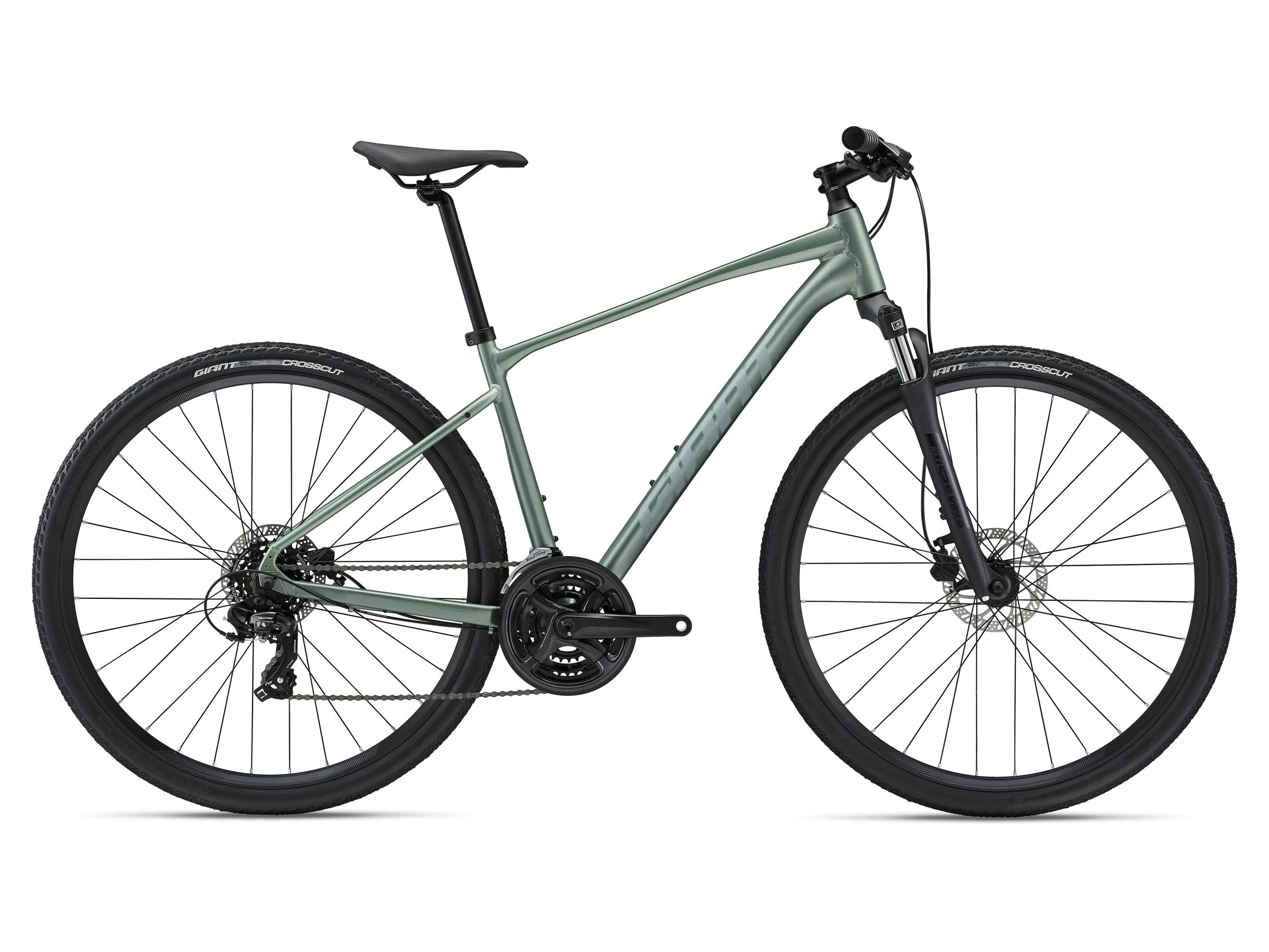 Giant Roam 4 (2023)