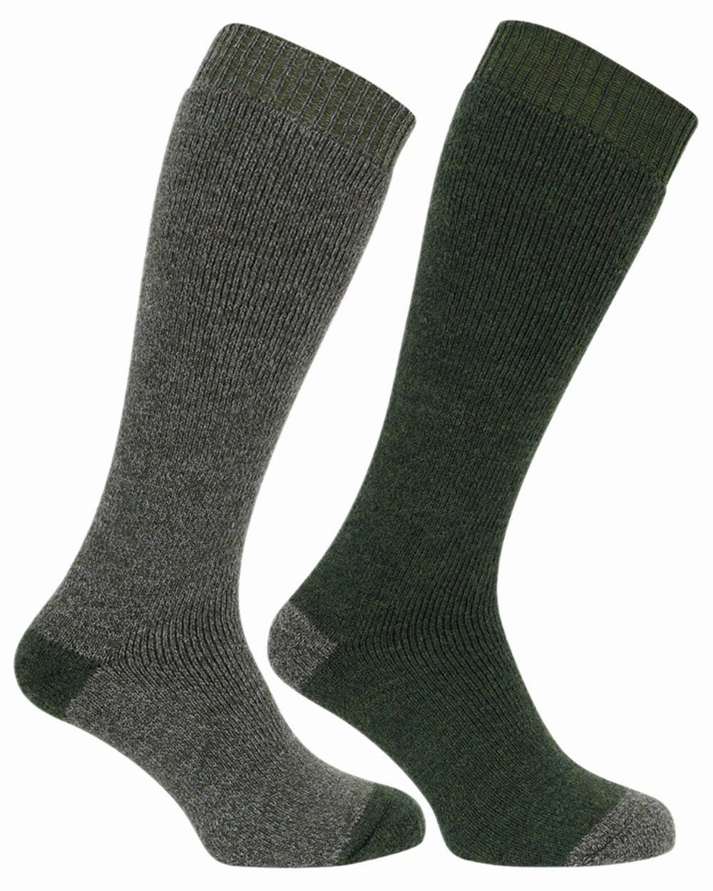Best Deal Today Limited Edition Offer Hoggs Of Fife Country Long Socks Twin Pack