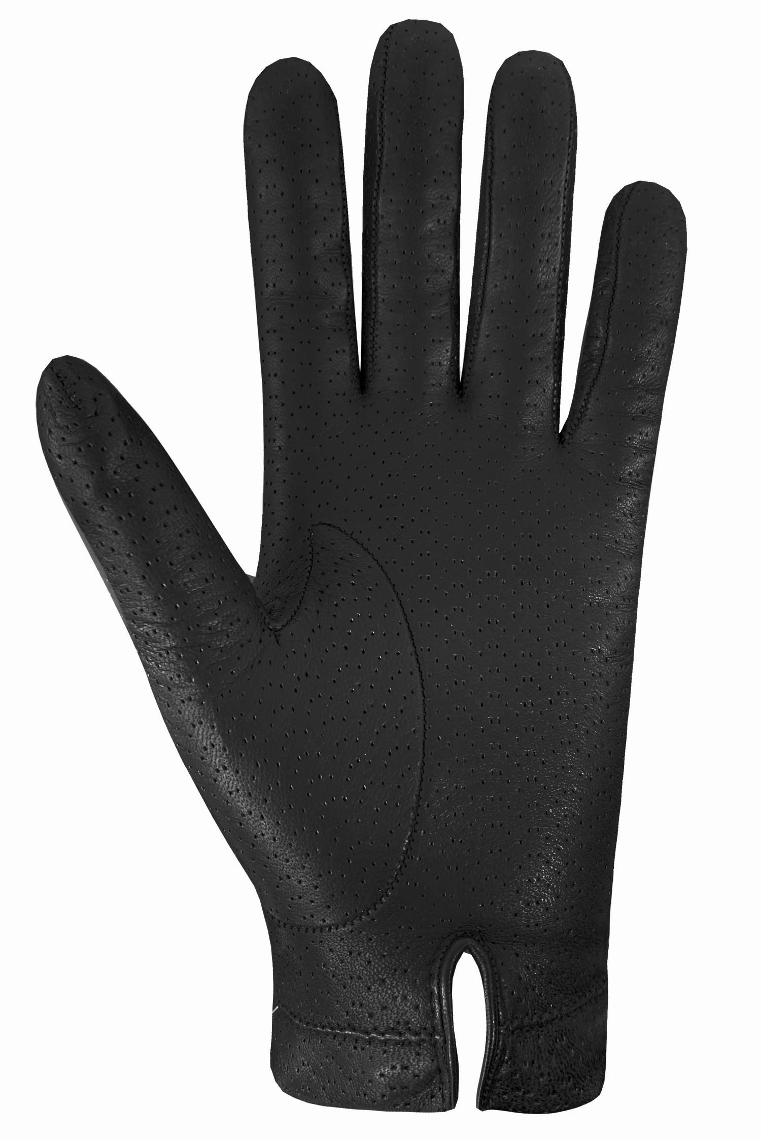 Special Price Today Online Exclusive Offer Imola Gloves - Women
