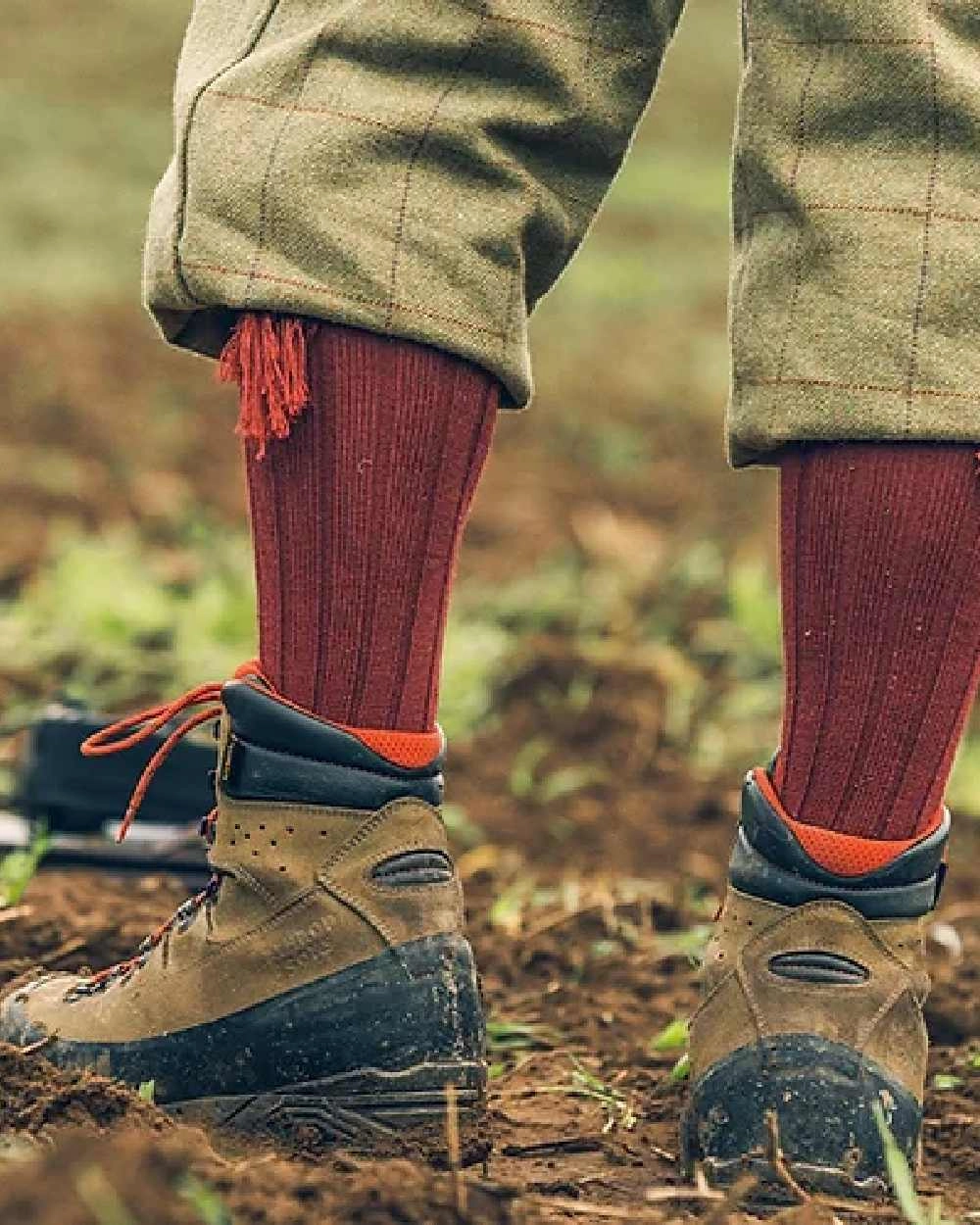MustShop Sale Jack Pyke Plain Shooting Socks