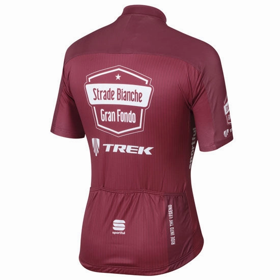 Jersey Pro Team GF Strade Bianche 2017