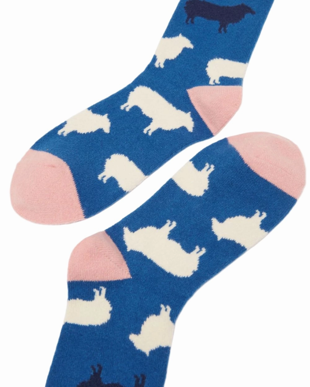 Hot Discount Deal Dont Miss This Offer Joules Amble Icon Socks