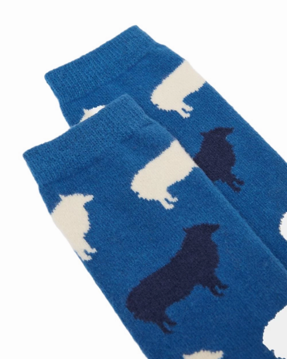 Big Savings Today Joules Amble Icon Socks