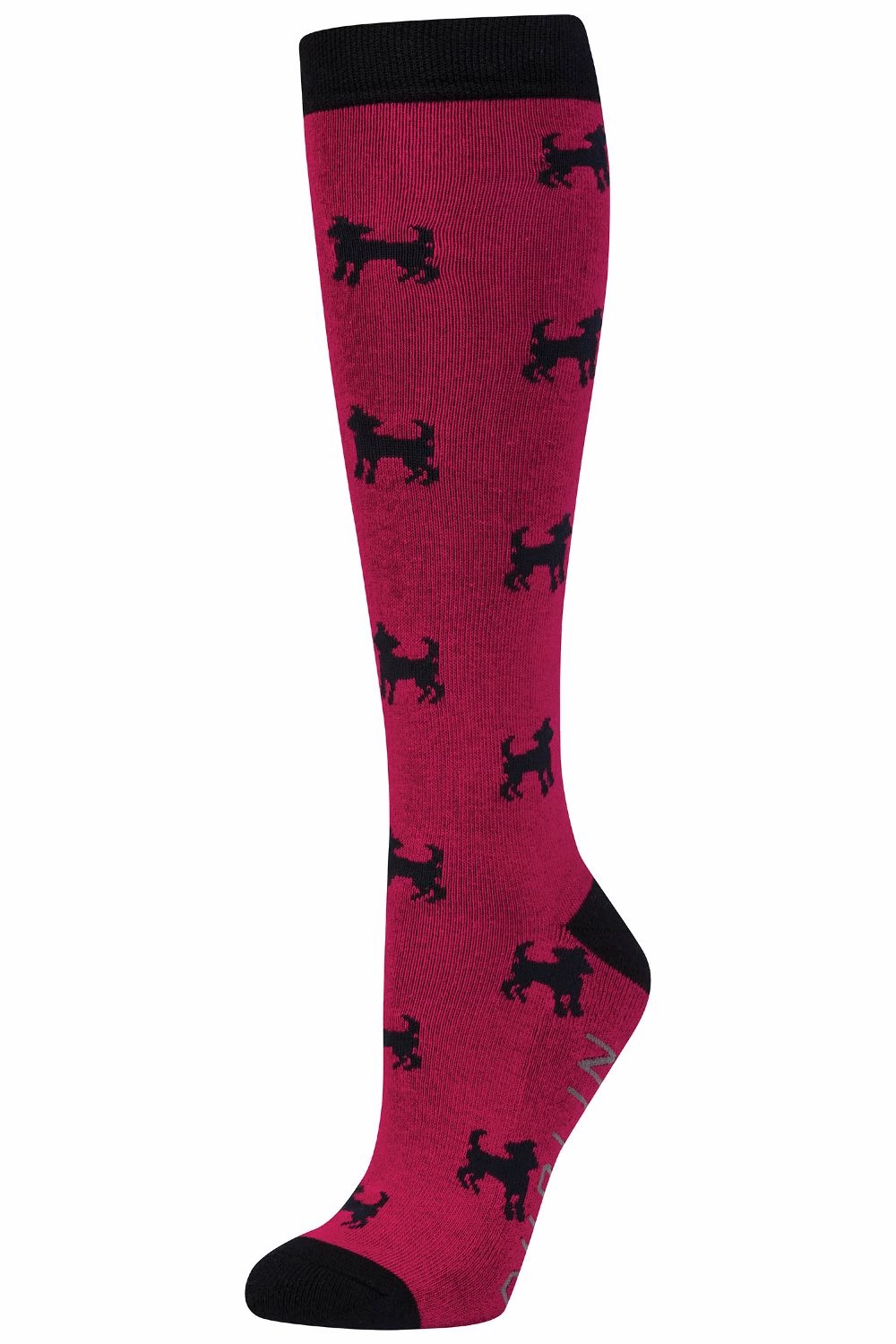 Clearance Savings Now Dublin Single Pack Socks