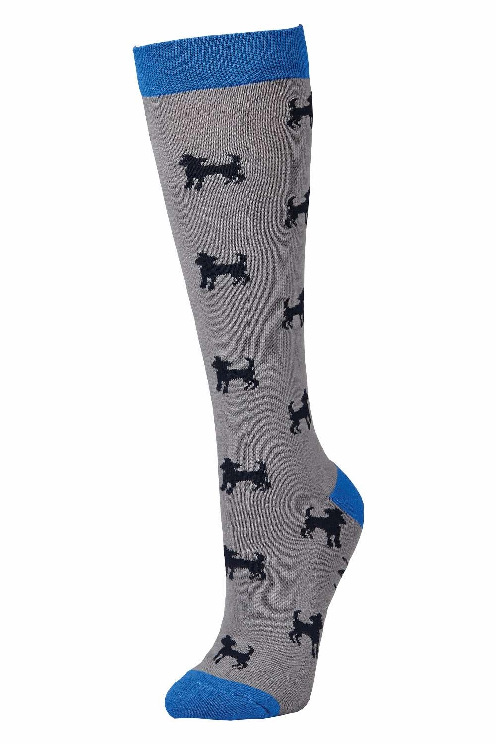 Shop Todays Picks Dublin Single Pack Socks