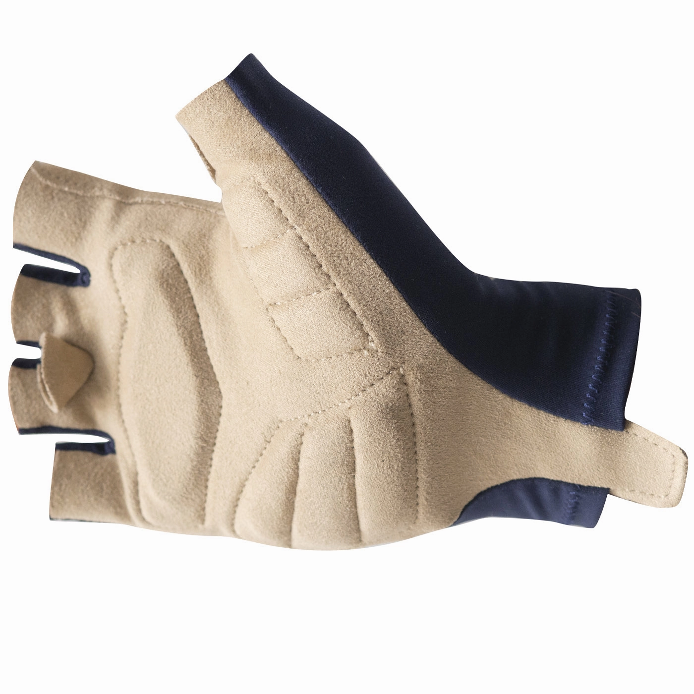 Molteni Arcore Gloves