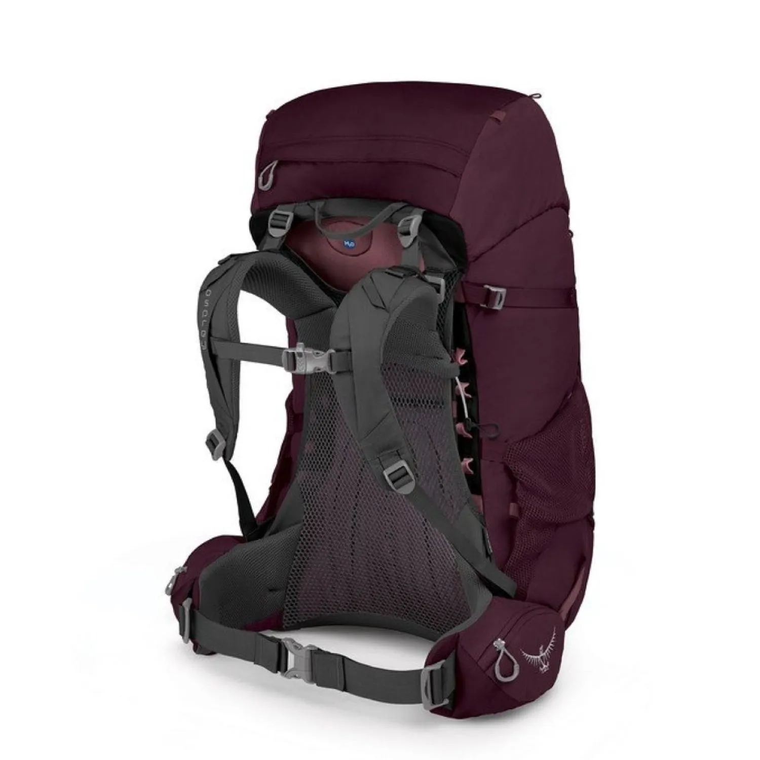 Osprey Renn 65 Backpack - Women'S Backpacking Special Surprise Sale
