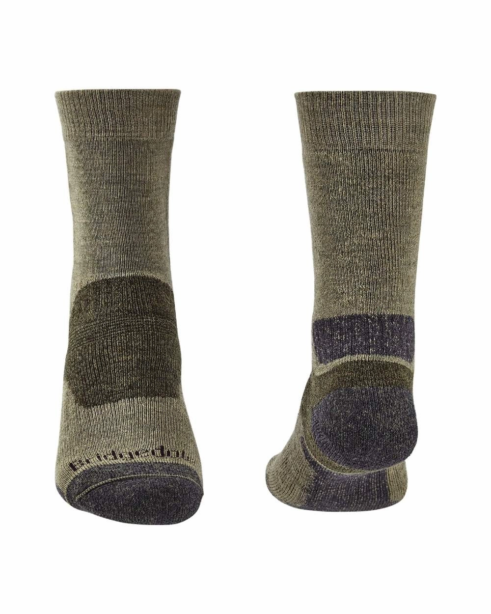 Todays Hot Pick Bridgedale Midweight Merino Performance Socks