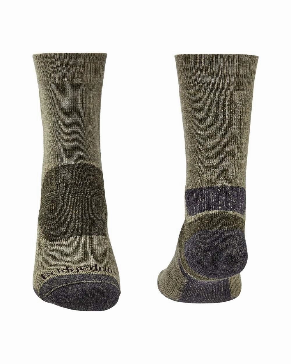Todays Hot Pick Bridgedale Midweight Merino Performance Socks