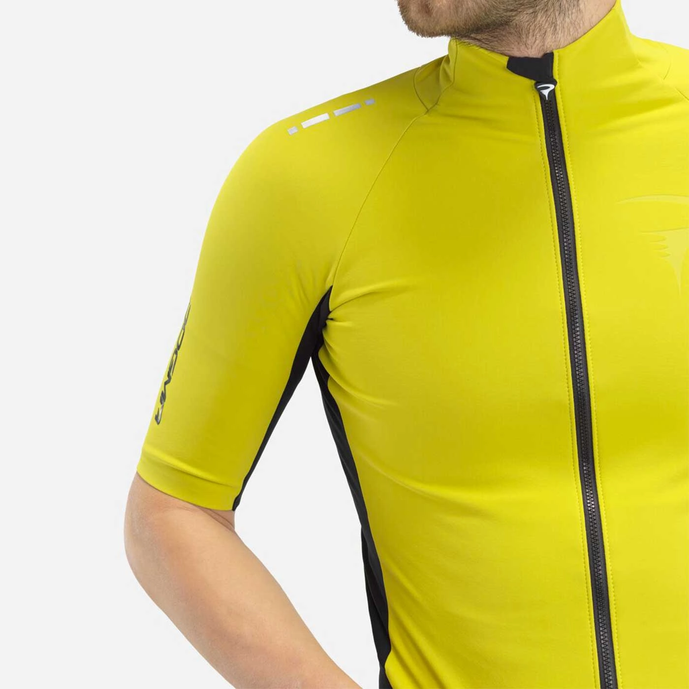 Pinarello Dogma Winter jersey Thermal - Green
