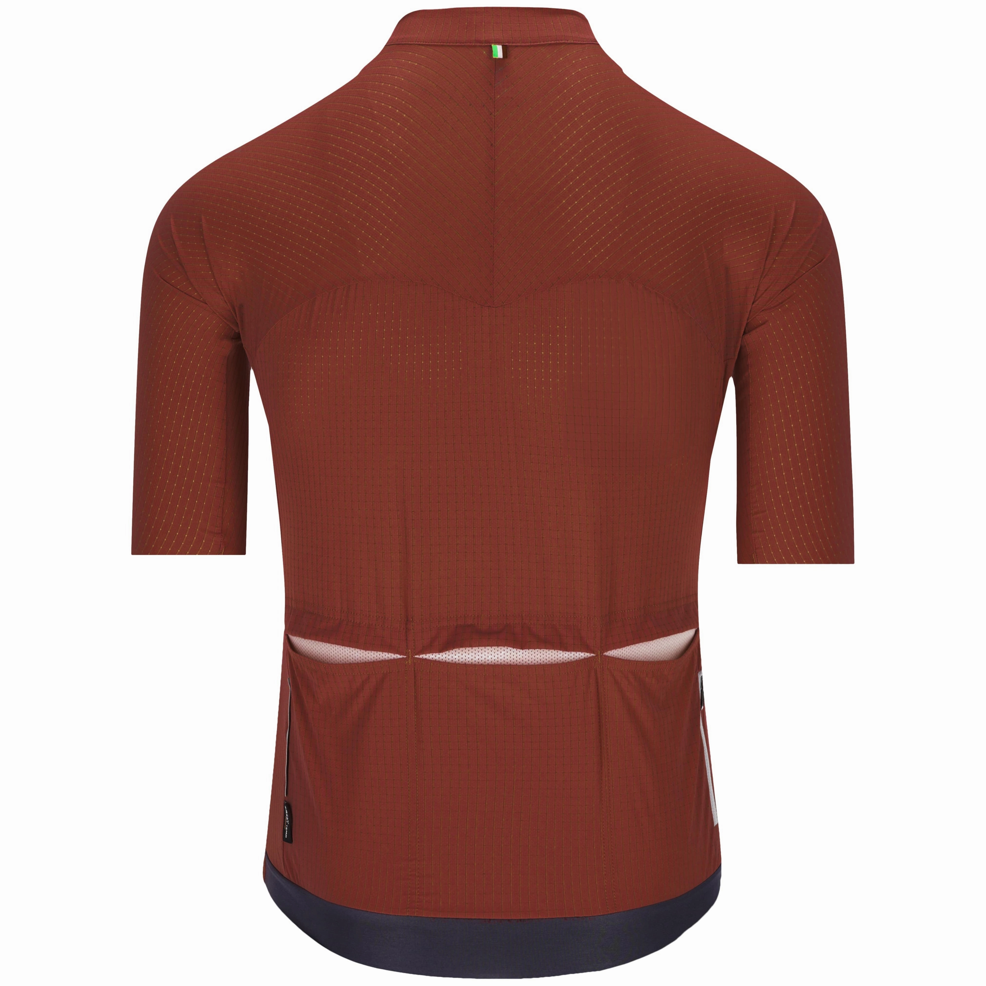 Q36.5 Dottore Pro jersey - Brown
