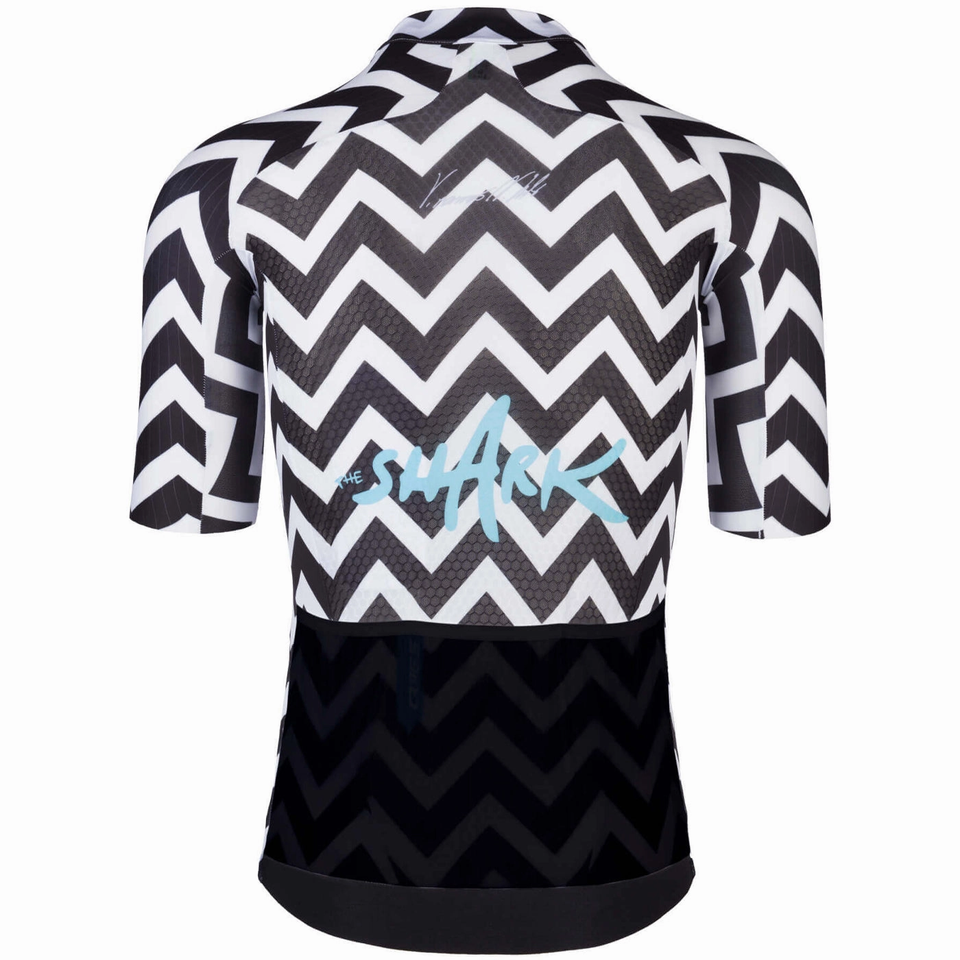 Q36.5 R2 Light jersey - Nibali Shark