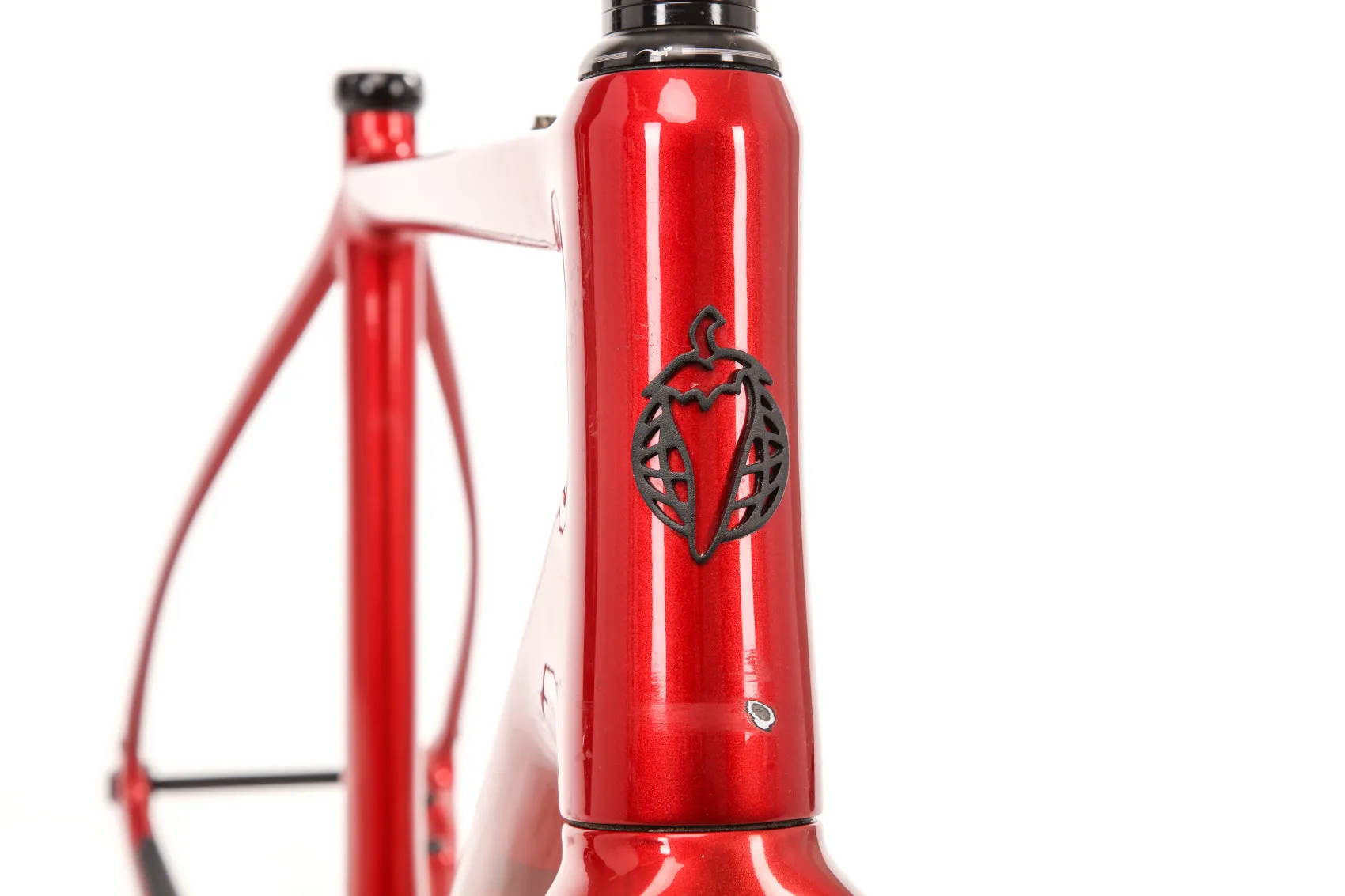 Salsa Warbird Carbon 700c 56cm Frameset - 2021