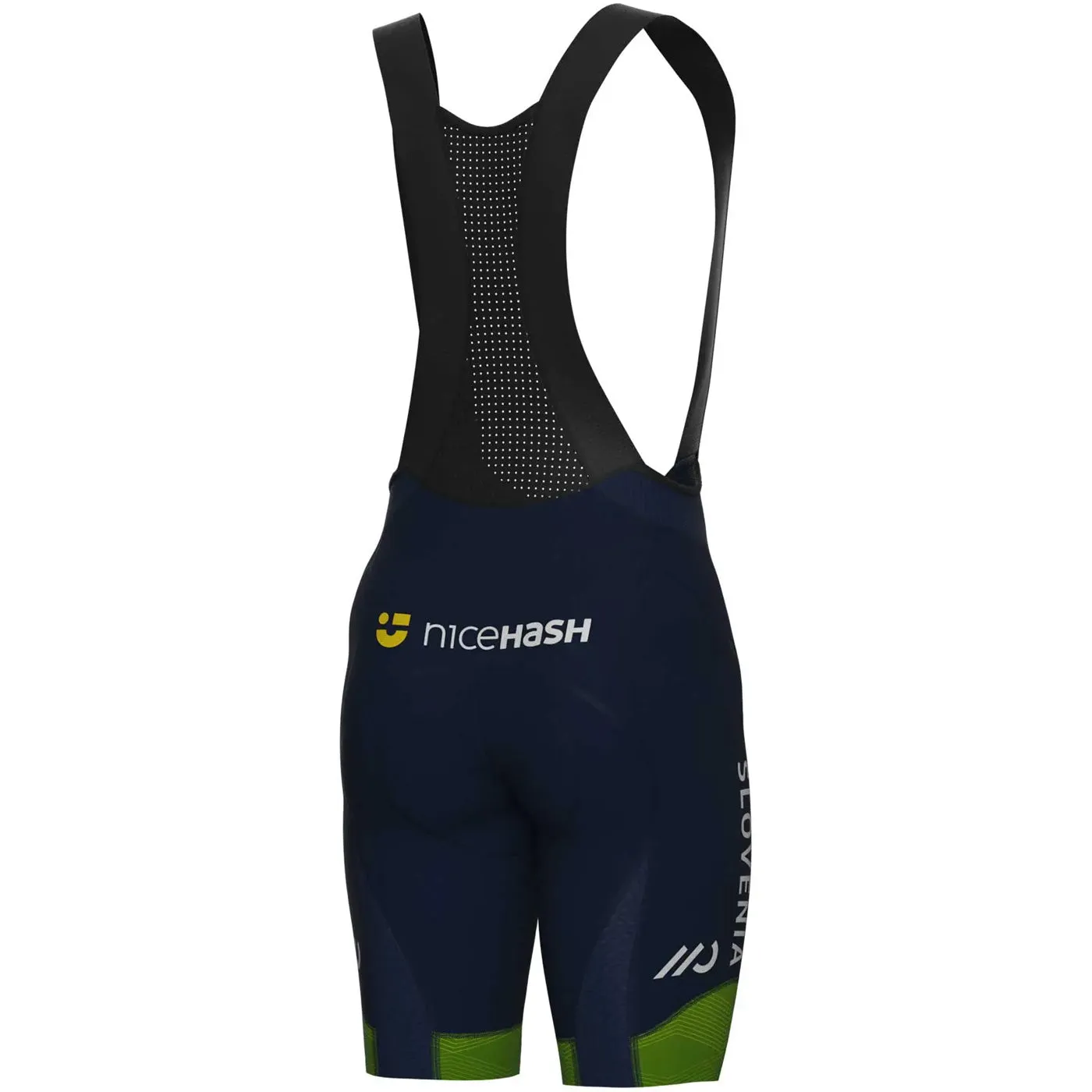 Slovenian AleNational 2024 PRS Ale bib short