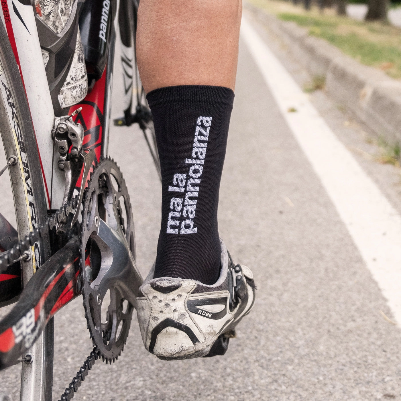 Socks Pannolati Logo