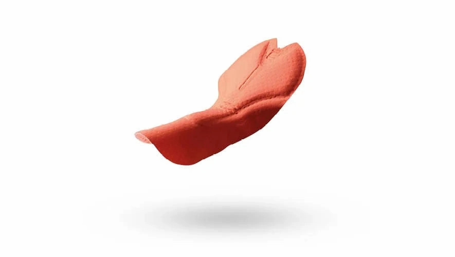 Sportful Colorful Pulse bib shorts - Red