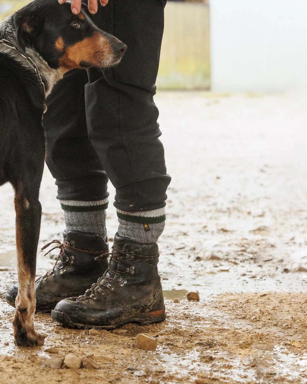 Price Drop Today Swazi Mens Merino Farm Socks