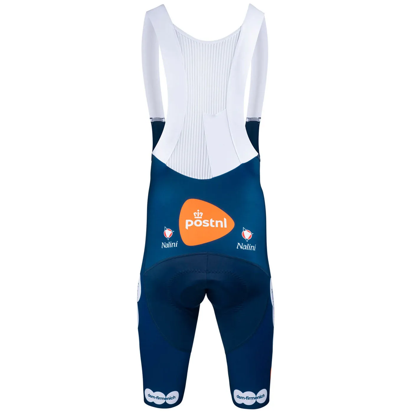 Team DSM Firmenich Postnl 2024 Racing bibshort