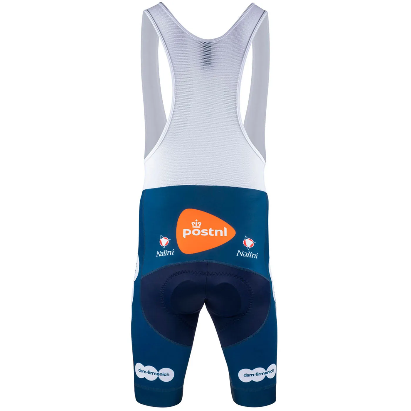 Team DSM Firmenich Postnl 2024 Training bibshort