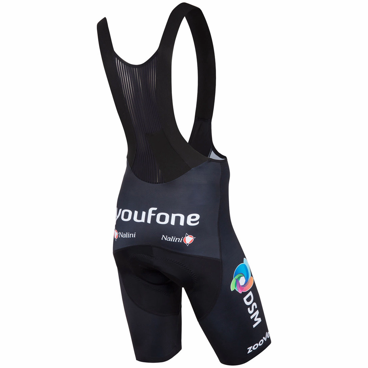 Team DSM 2023 Race bibshort