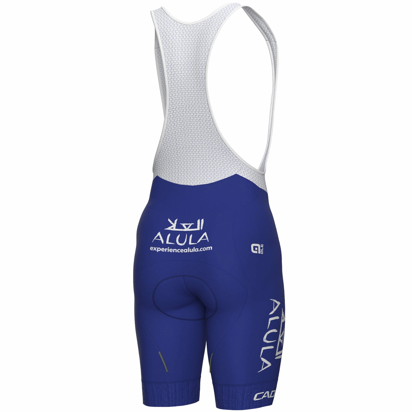 Team Jayco Alula 2023 bibshort