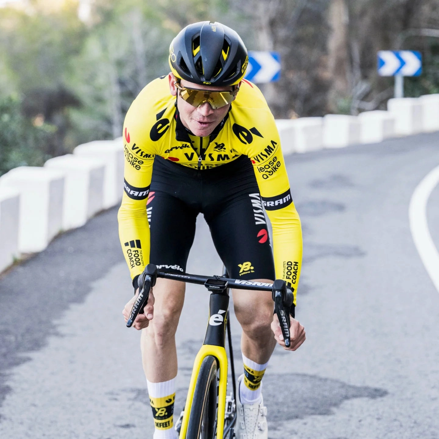 Team Visma Lease a bike 2025 bibshort