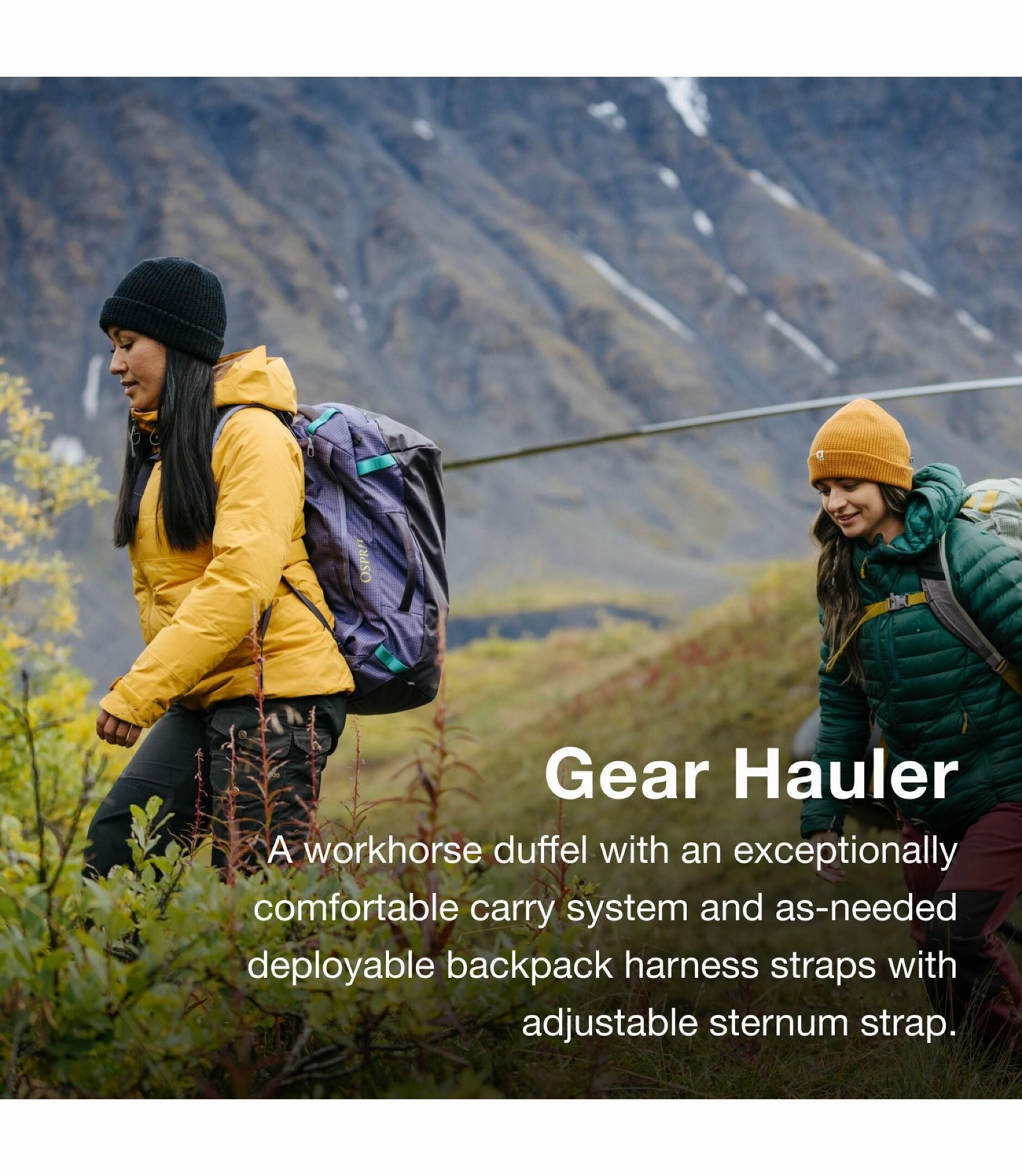Clearance Savings Now Shop Todays Picks Transporter Duffel 65