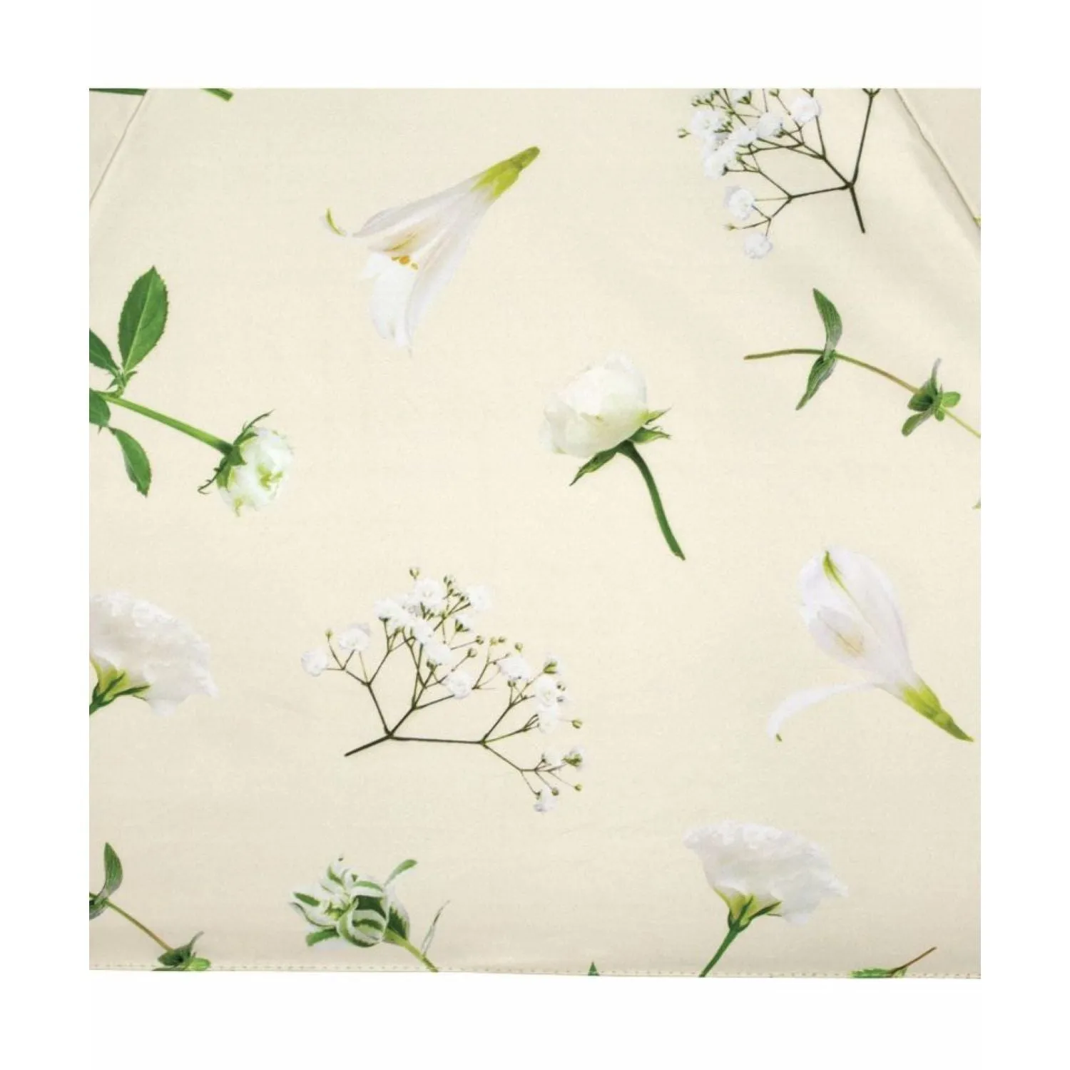 MustHave Clearance Wpc X Plantica (2025) Uv Protection Upf 50  Umbrella 47Cm